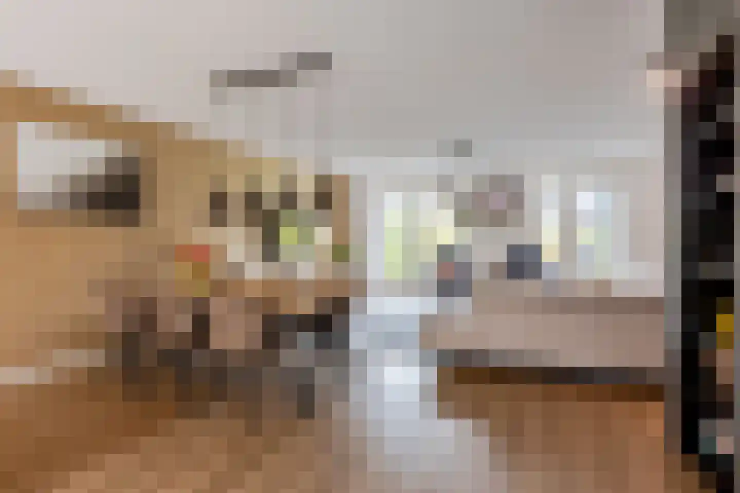 Korenbloem 33 Oudenhoorn thumbnail 15