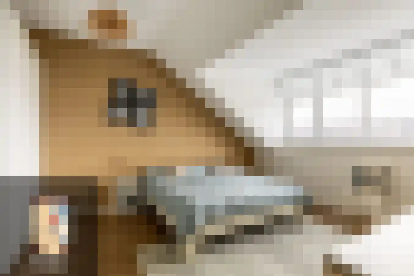 Korenbloem 33 Oudenhoorn thumbnail 19