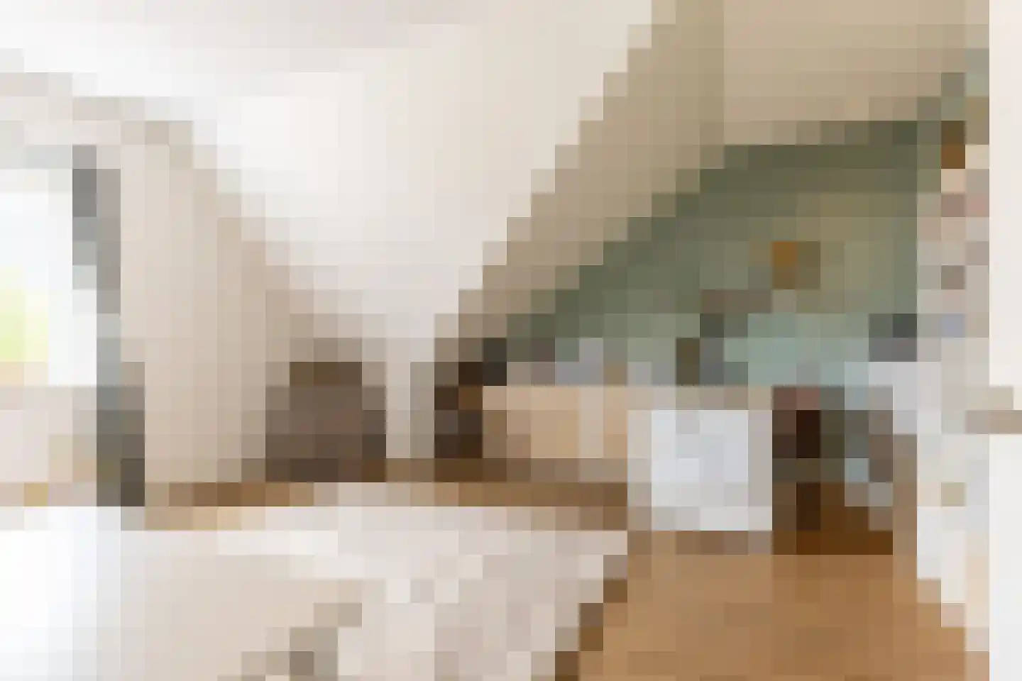 Korenbloem 33 Oudenhoorn thumbnail 21
