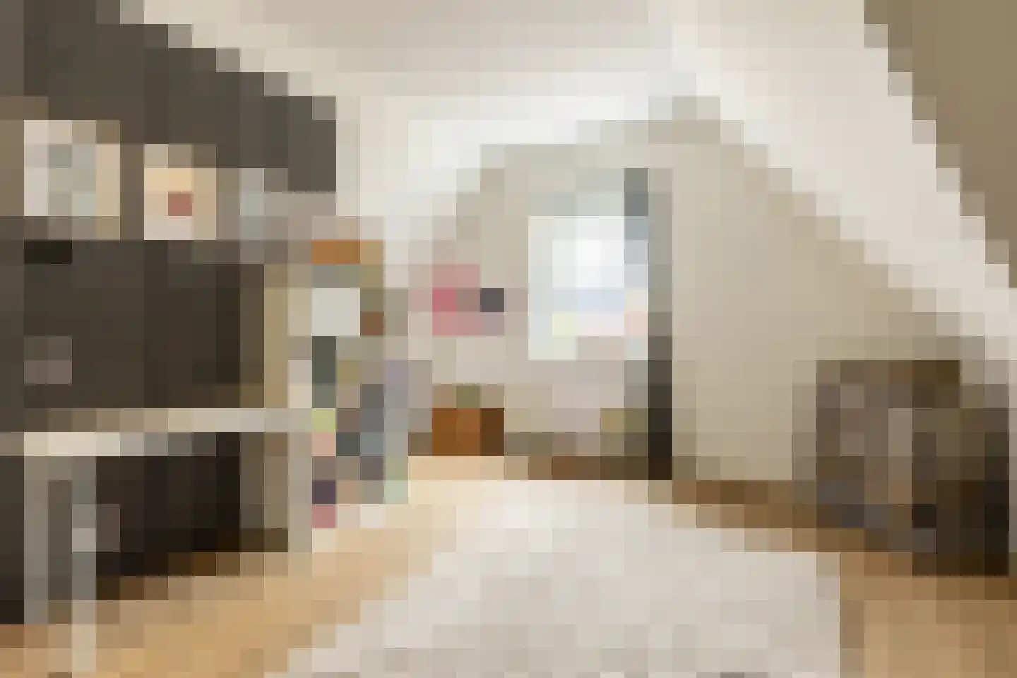 Korenbloem 33 Oudenhoorn thumbnail 23