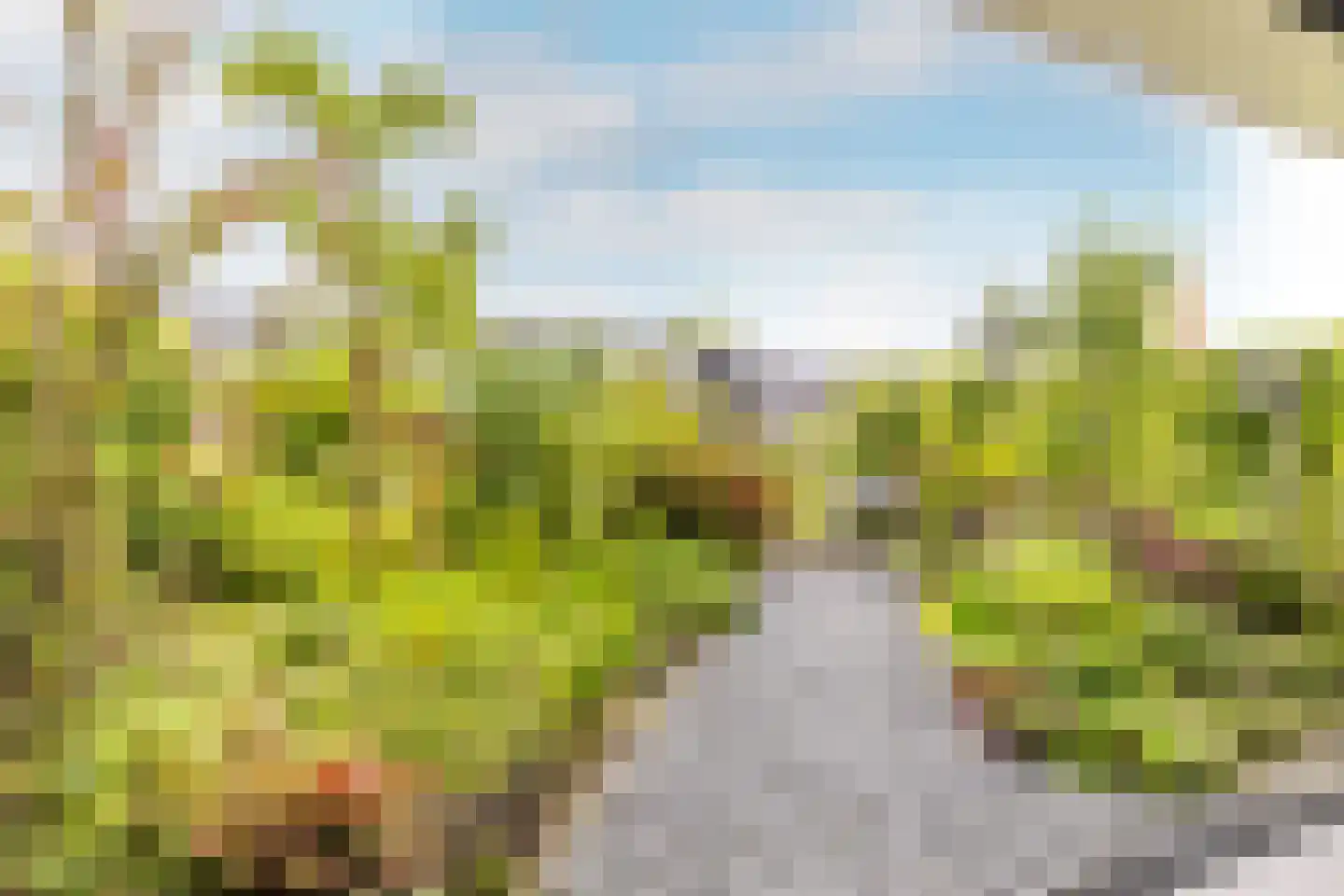 Korenbloem 33 Oudenhoorn thumbnail 28