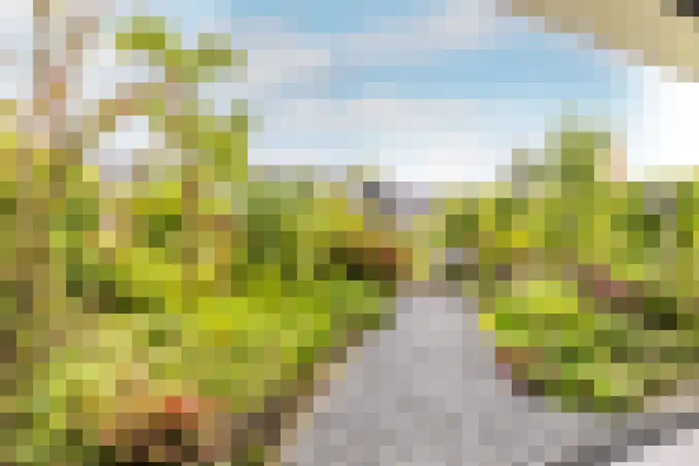 Korenbloem 33 Oudenhoorn thumbnail 30