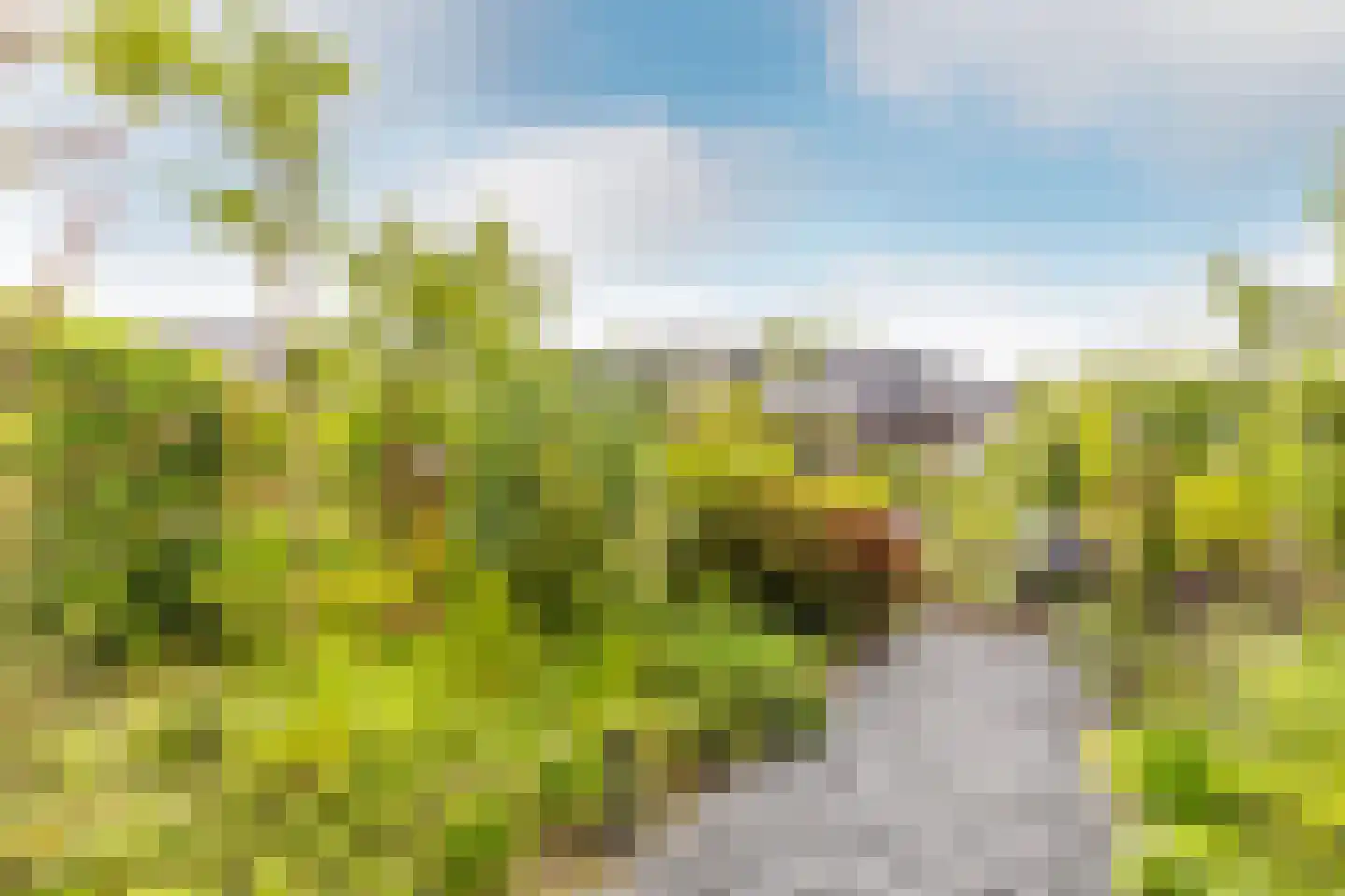 Korenbloem 33 Oudenhoorn thumbnail 30
