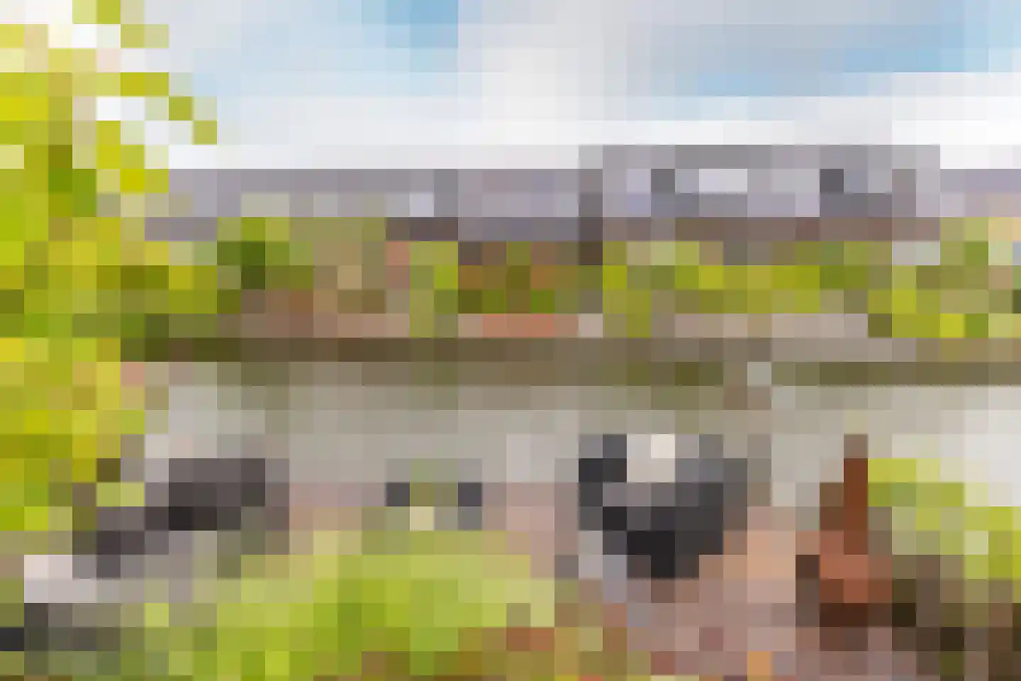 Korenbloem 33 Oudenhoorn thumbnail 31