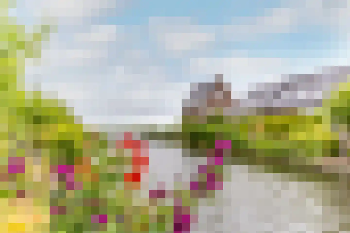 Korenbloem 33 Oudenhoorn thumbnail 33