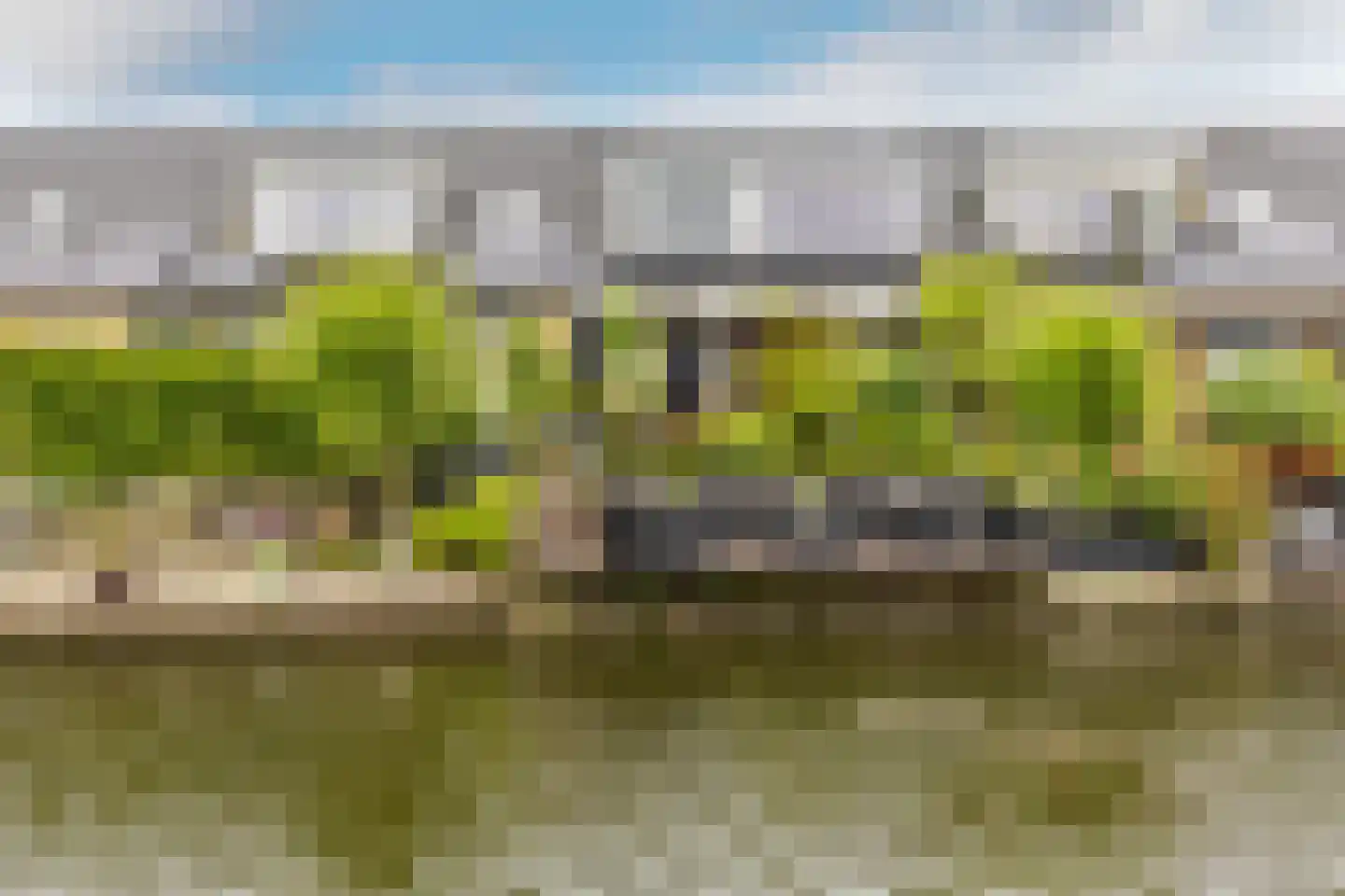Korenbloem 33 Oudenhoorn thumbnail 39