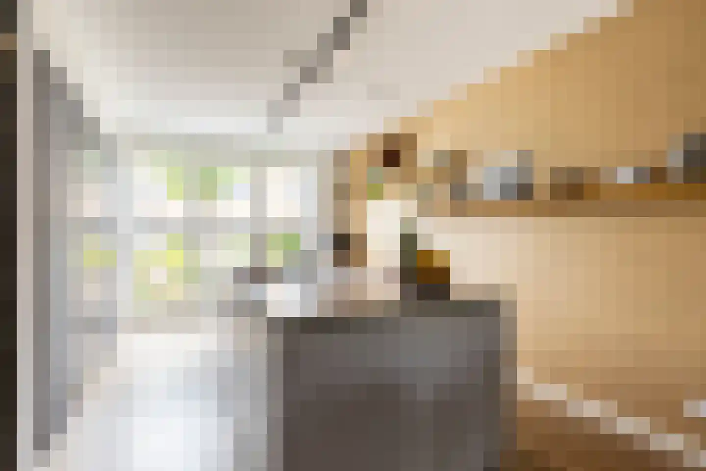 Korenbloem 33 Oudenhoorn thumbnail 9