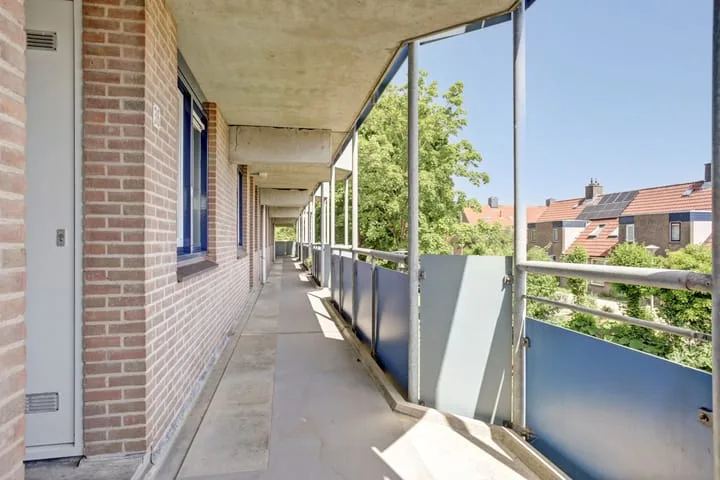 Korenbloem 36 Zwaag thumbnail 31