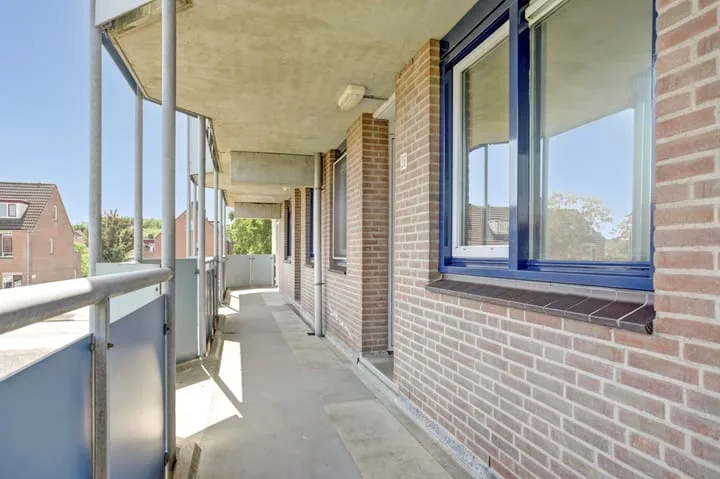 Korenbloem 36 Zwaag thumbnail 32