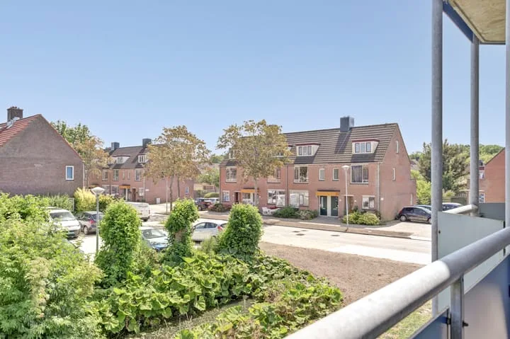 Korenbloem 36 Zwaag thumbnail 33