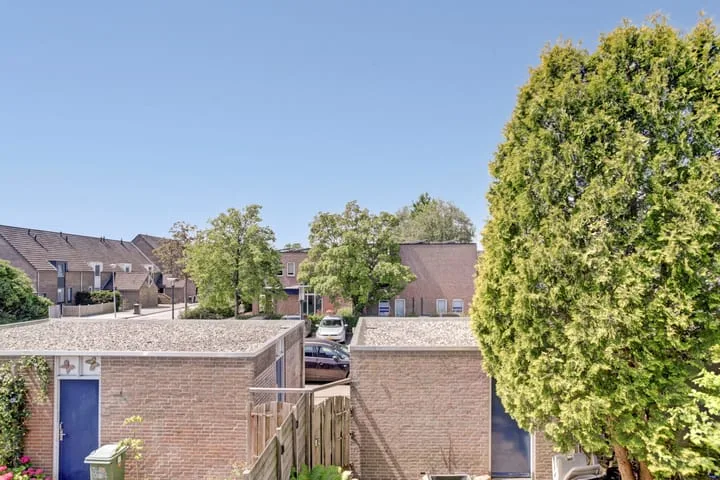 Korenbloem 36 Zwaag thumbnail 34