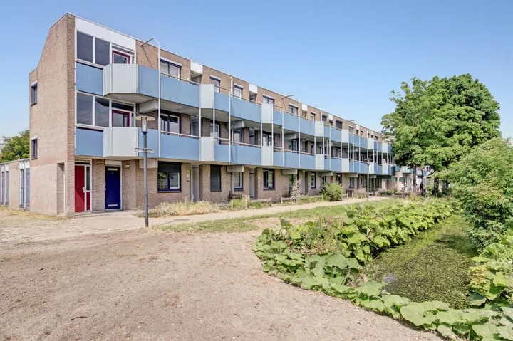 Korenbloem 36 Zwaag thumbnail 5