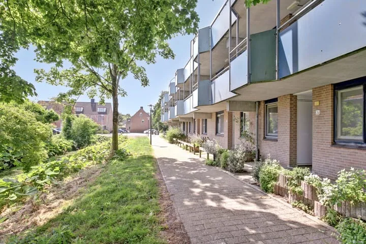 Korenbloem 36 Zwaag thumbnail 6