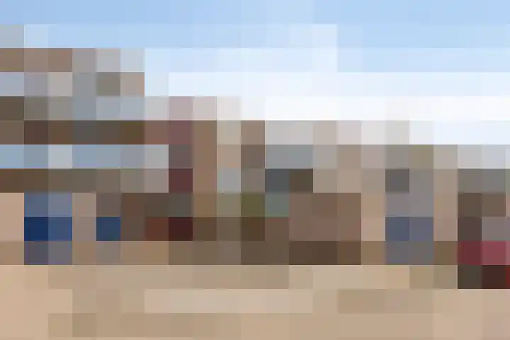 Korenbloem 37 Zwaag thumbnail 17