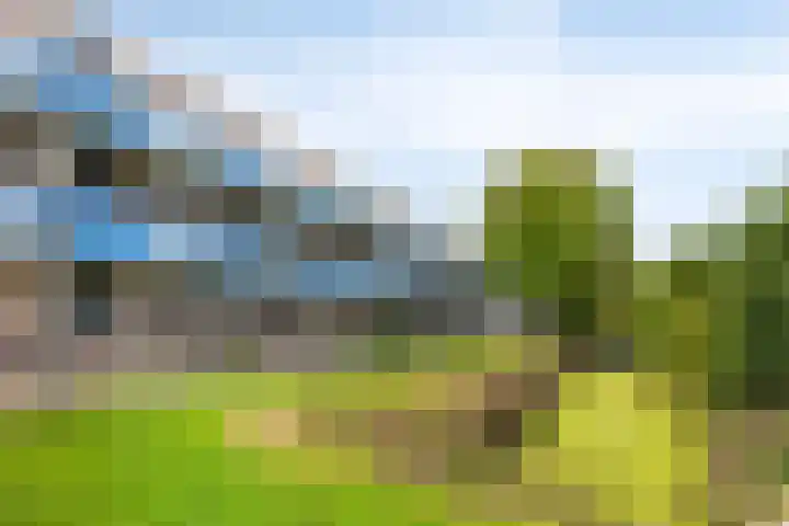 Korenbloem 37 Zwaag thumbnail 18