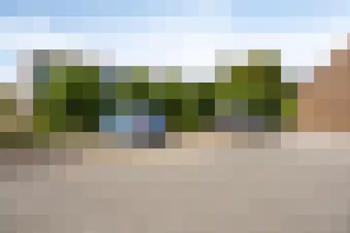 Korenbloem 37 Zwaag thumbnail 19