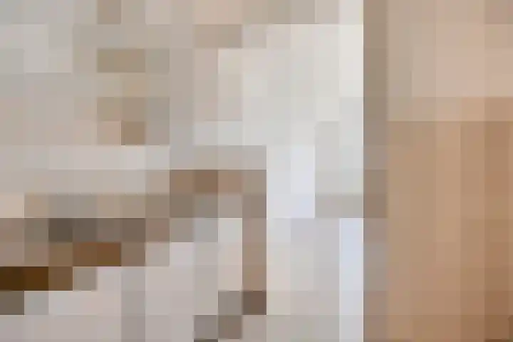 Korenbloem 37 Zwaag thumbnail 8