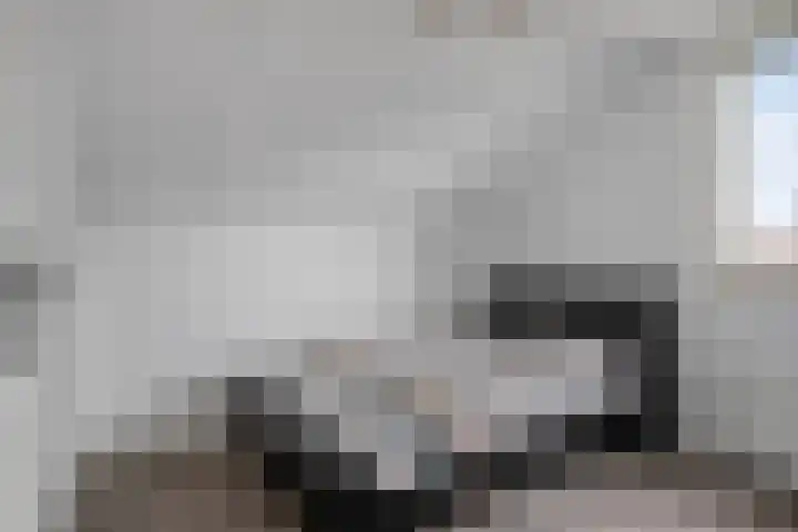 Korenbloem 38 Helden thumbnail 23