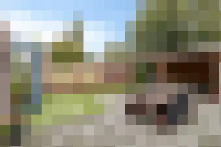 Korenbloem 38 Helden thumbnail 27