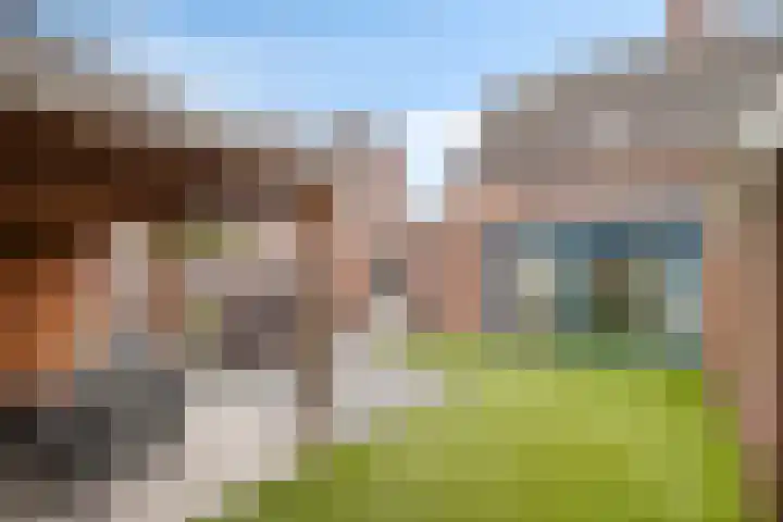 Korenbloem 38 Helden thumbnail 30