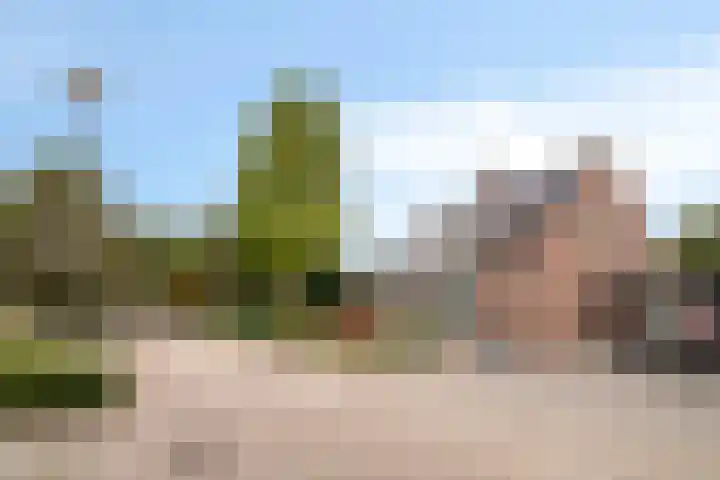 Korenbloem 38 Helden thumbnail 32