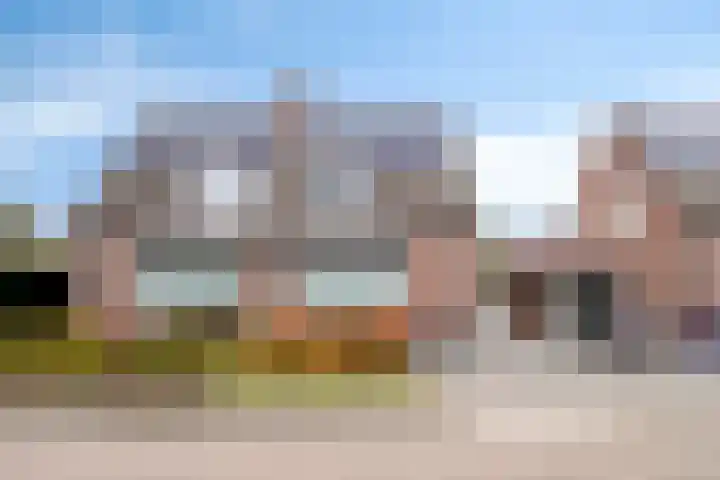 Korenbloem 38 Helden thumbnail 33
