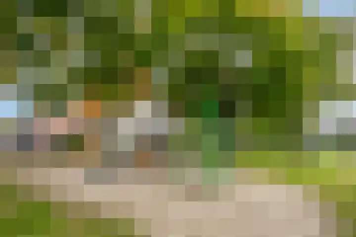 Korenbloem 38 Helden thumbnail 34