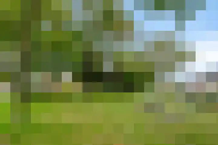 Korenbloem 38 Helden thumbnail 35