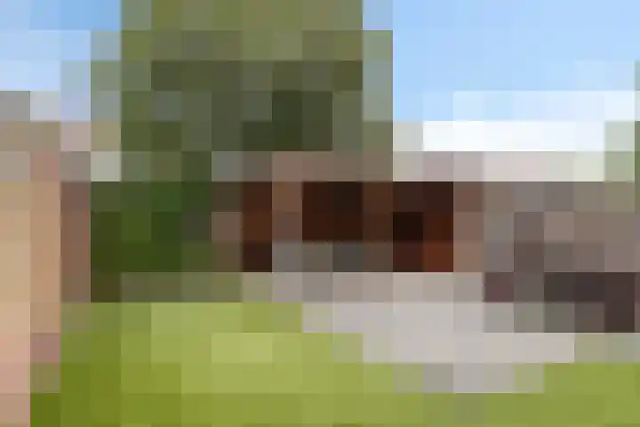 Korenbloem 38 Helden thumbnail 4