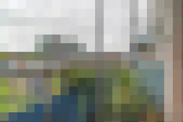 Korenbloem 38 Zwaag thumbnail 11