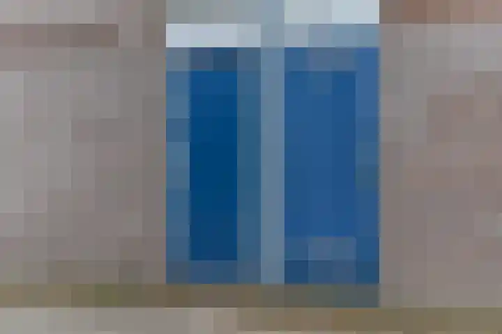 Korenbloem 38 Zwaag thumbnail 30