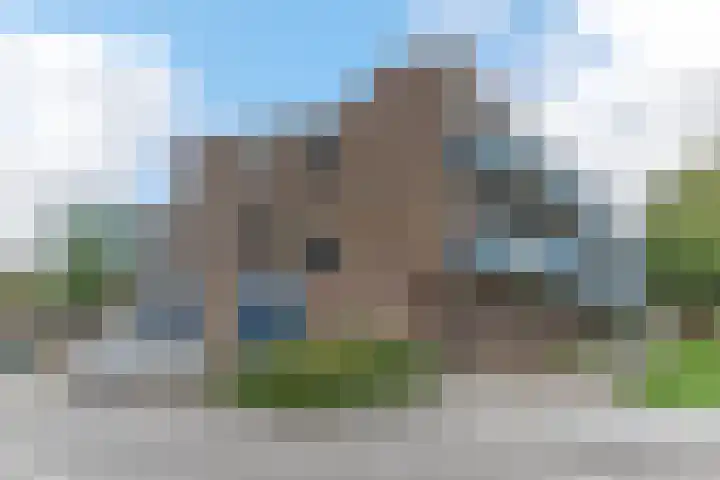 Korenbloem 38 Zwaag thumbnail 31