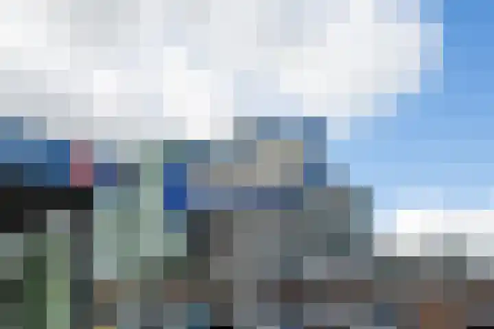 Korenbloem 38 Zwaag thumbnail 33