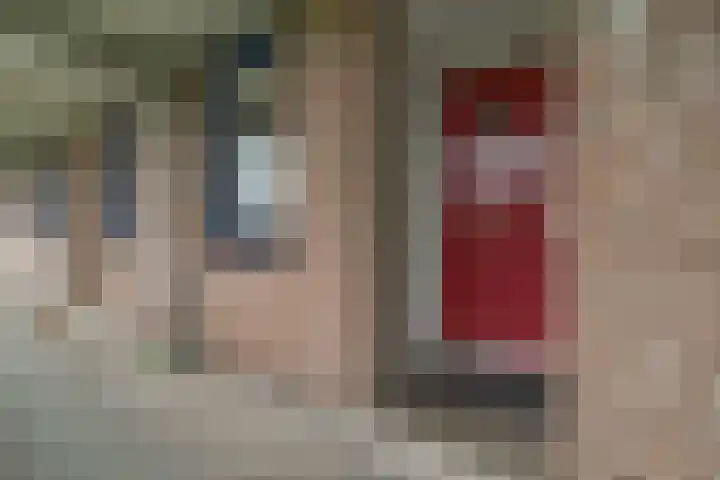 Korenbloem 38 Zwaag thumbnail 5