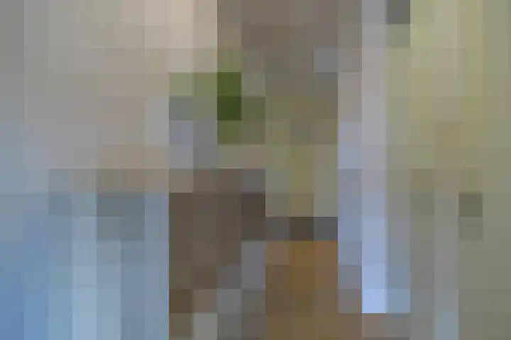 Korenbloem 38 Zwaag thumbnail 6