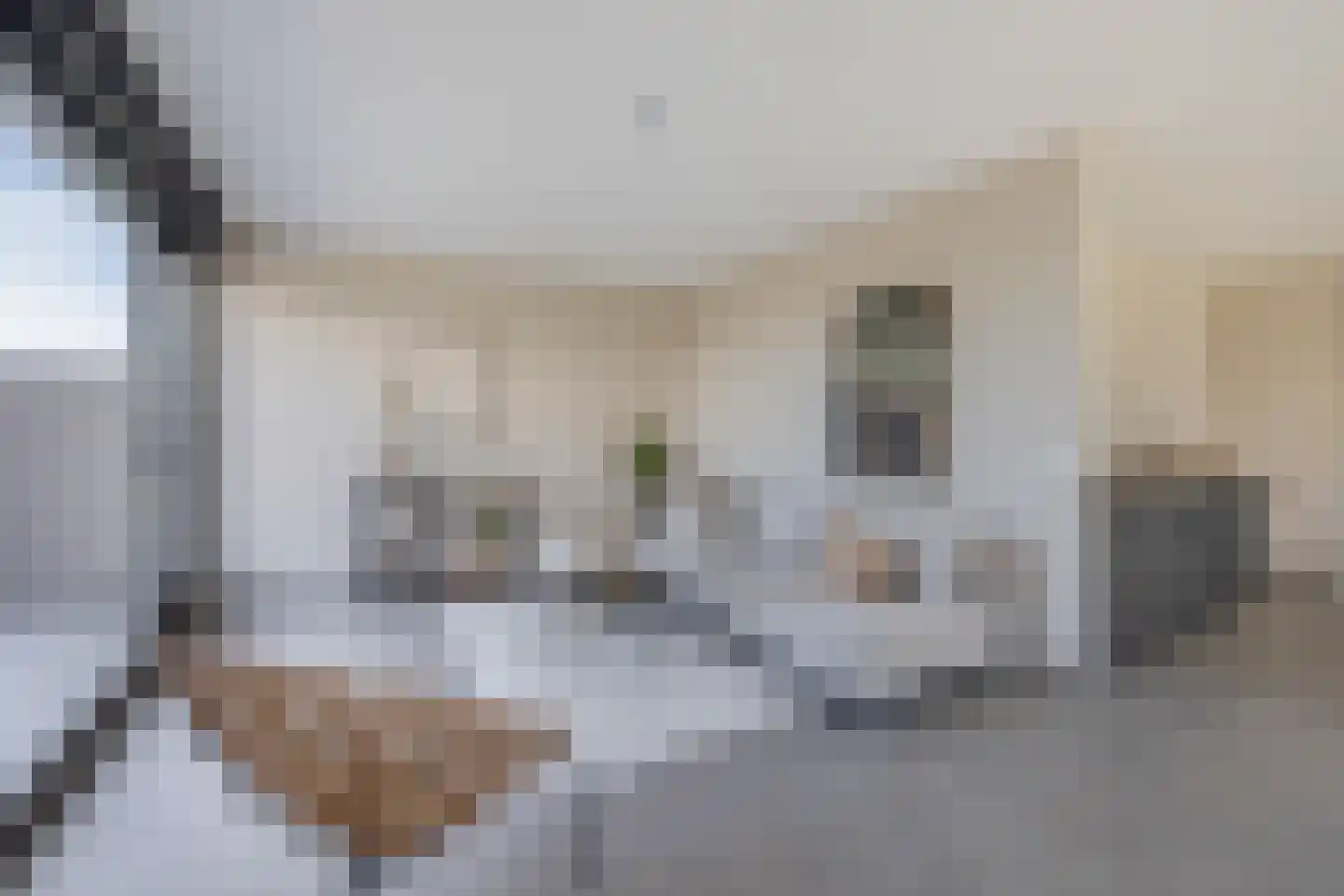 Korenbloem 39 Heerlen thumbnail 6
