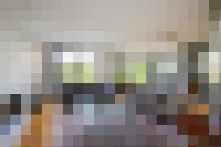Korenbloem 4 Bergambacht thumbnail 10