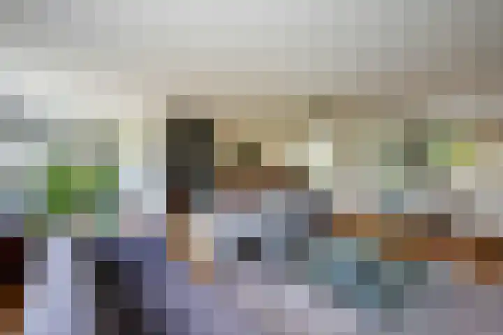 Korenbloem 4 Bergambacht thumbnail 13