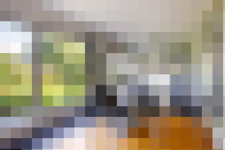 Korenbloem 4 Bergambacht thumbnail 14