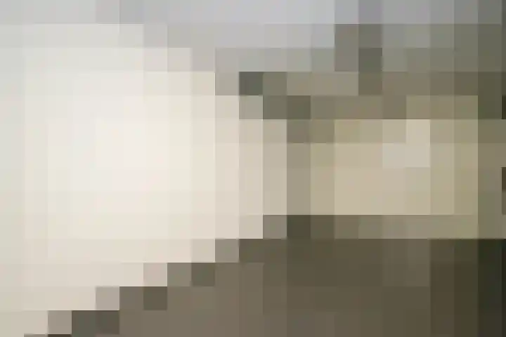 Korenbloem 4 Bergambacht thumbnail 18