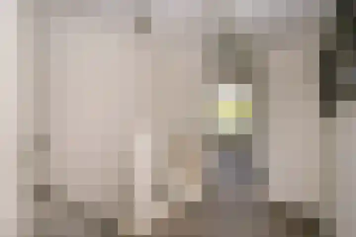 Korenbloem 4 Bergambacht thumbnail 19