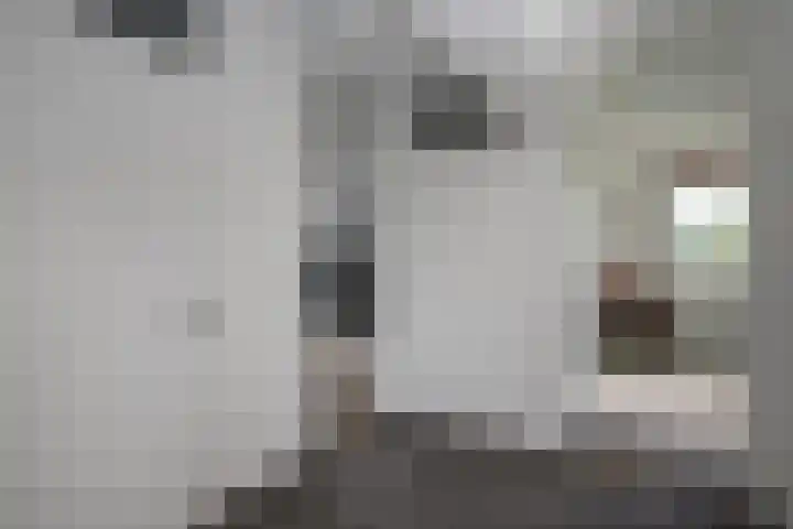 Korenbloem 4 Bergambacht thumbnail 20