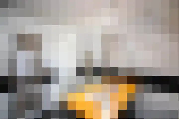 Korenbloem 4 Bergambacht thumbnail 25
