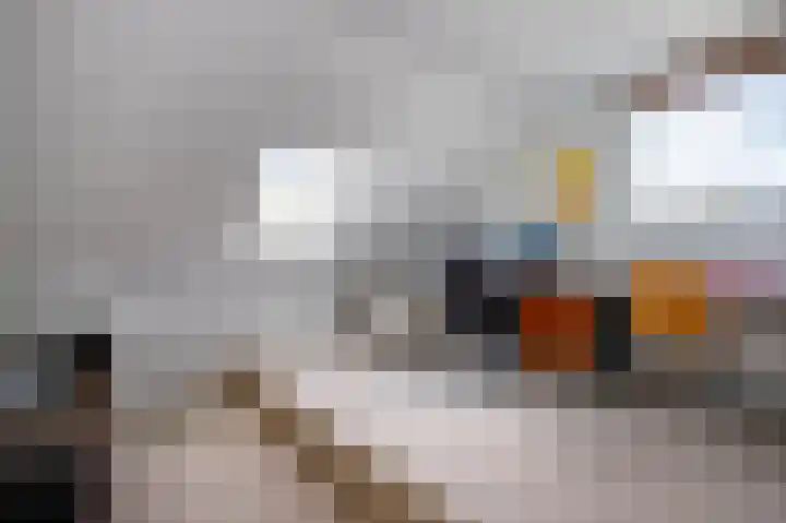 Korenbloem 4 Bergambacht thumbnail 29