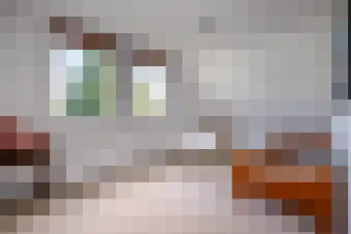 Korenbloem 4 Bergambacht thumbnail 30