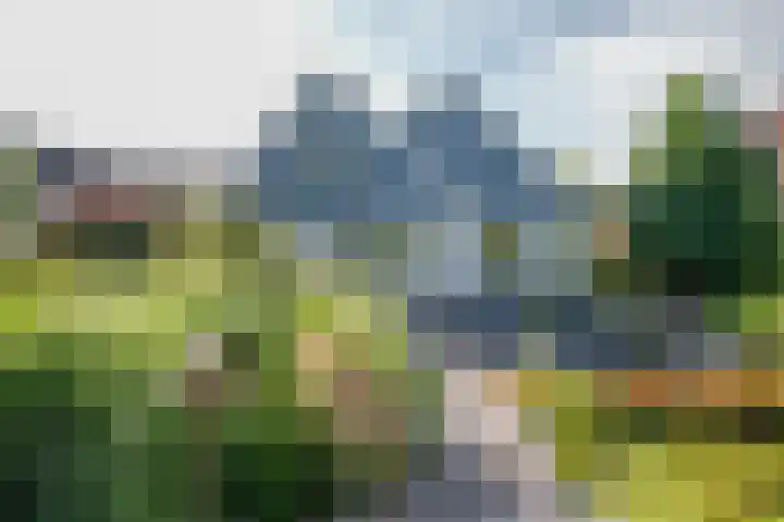 Korenbloem 4 Bergambacht thumbnail 34