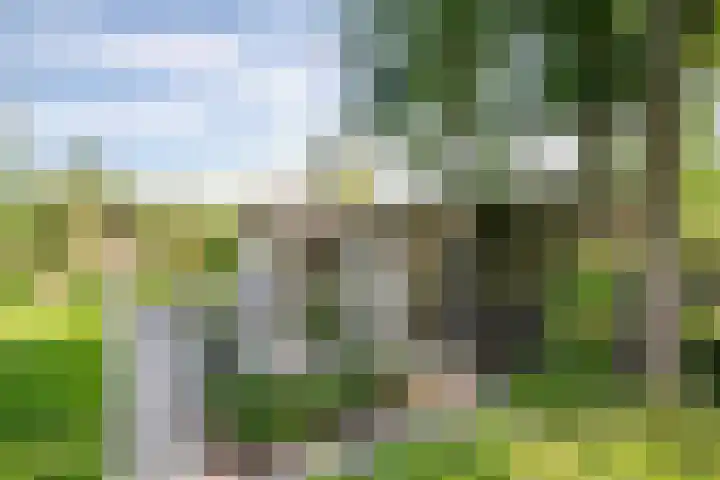 Korenbloem 4 Bergambacht thumbnail 37