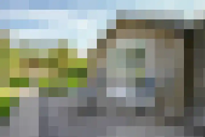 Korenbloem 4 Bergambacht thumbnail 38