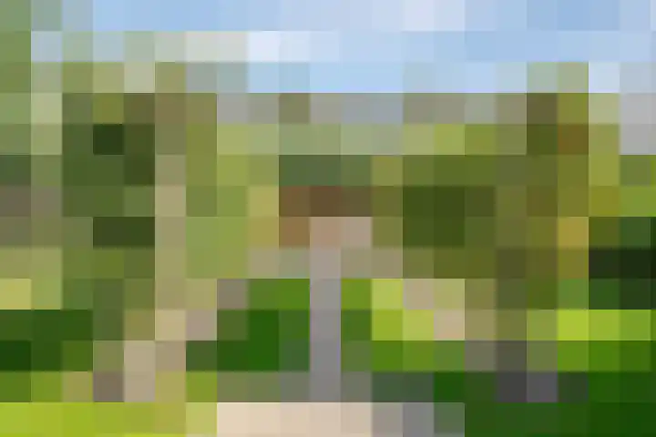 Korenbloem 4 Bergambacht thumbnail 39