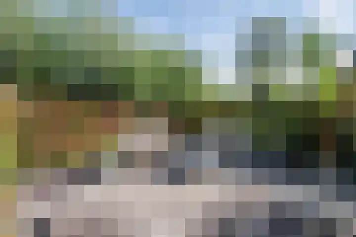 Korenbloem 4 Bergambacht thumbnail 41